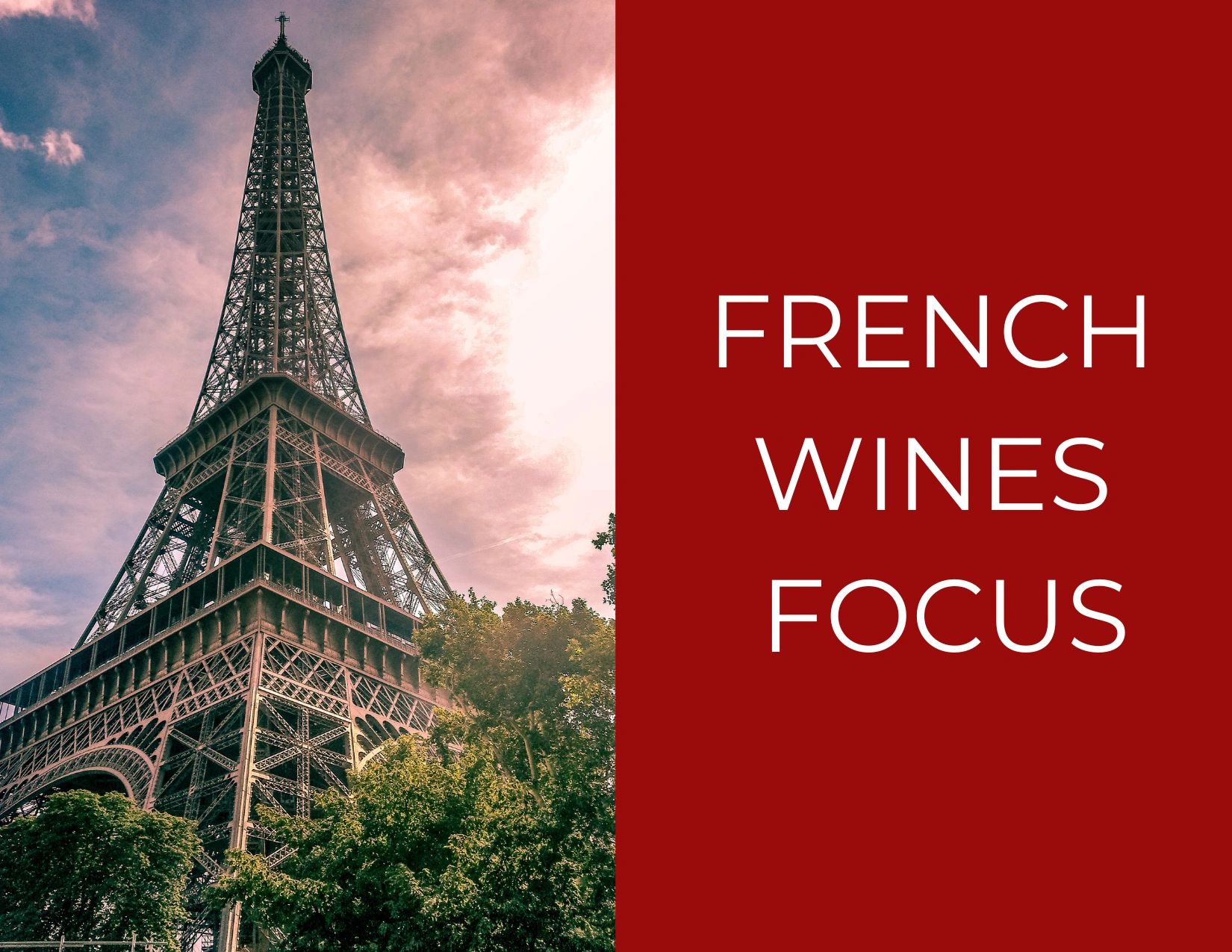 Wednesday, Wine Focus, French Wines